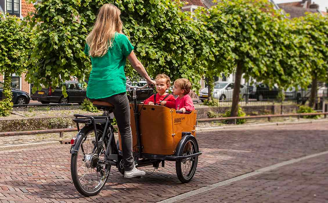 Afleiding Op de grond Normalisatie Kan een kinderzitje op de bagagedrager van bakfiets? | Babboe